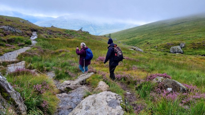 No Rush Hike- The Cobbler