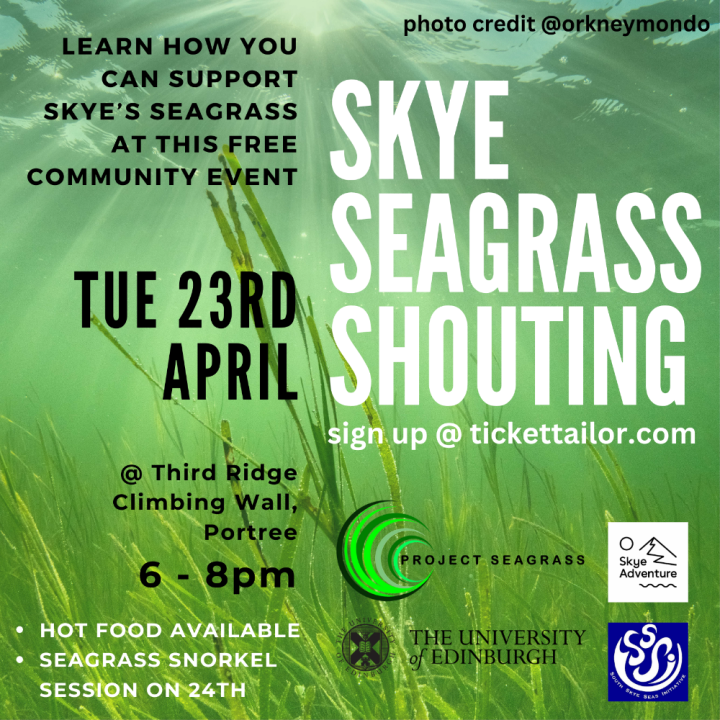 Searching for seagrass on Skye - Project Seagrass