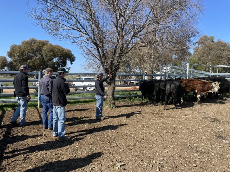 Buy tickets Naracoorte March 2024 Assessor Course, Mon 4 Mar 2024 8