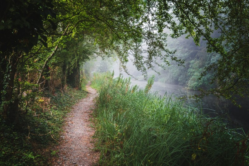 More information, dates and tickets – Guided Nature Walk at the Oakham ...