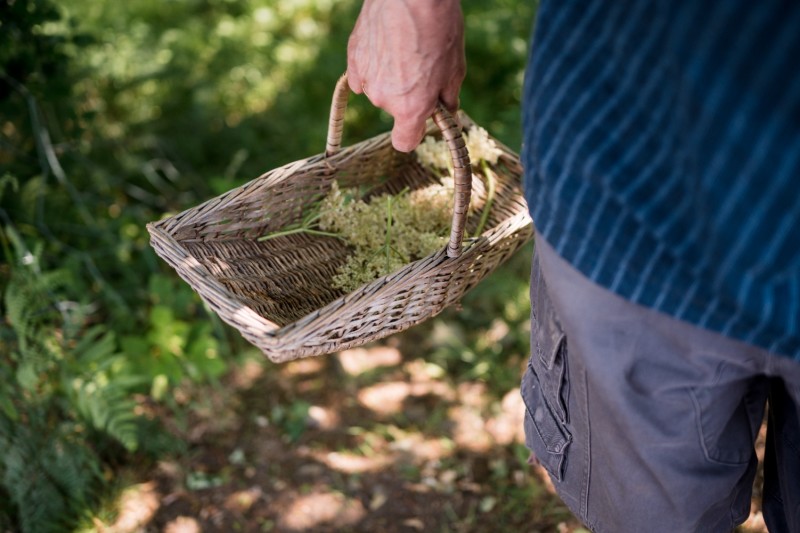 Buy tickets Sunday Paid Events Hawkstone Park Follies, Sun 9 Jun