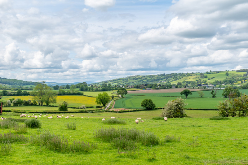 Buy Tickets – Golden Valley Pilgrim Way (4 Days) – Hereford Cathedral