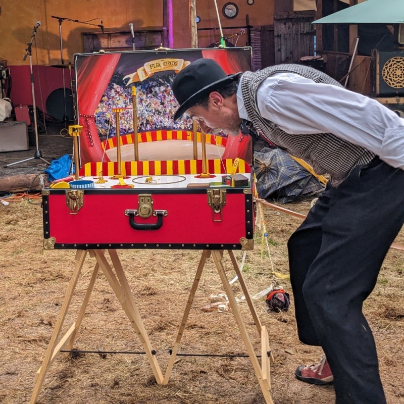 Book Tickets – The Flea Circus – Norwich Puppet Theatre