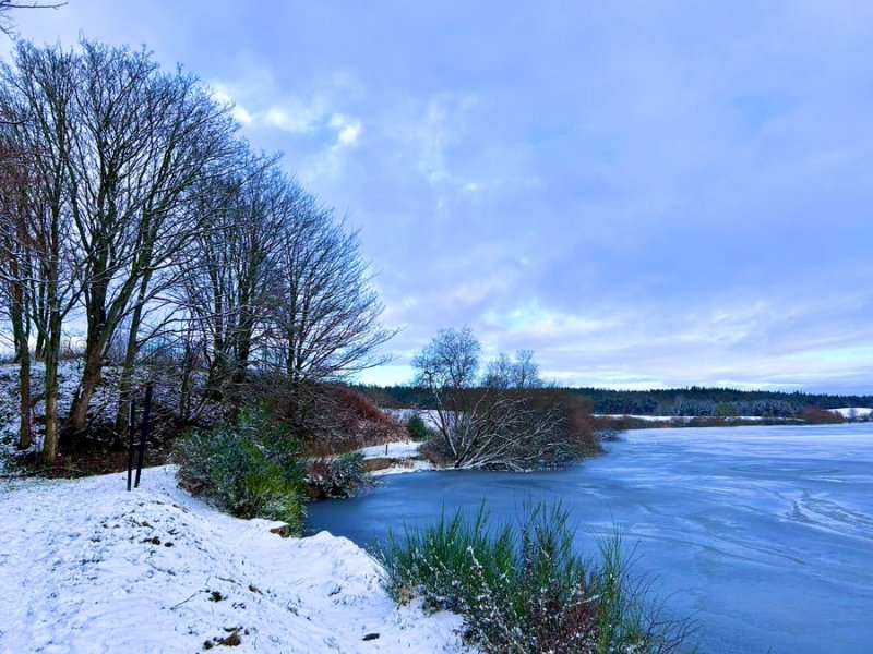 Select tickets – Walk 149: Devilla Forest - Four Lochs – Super Soccer ...