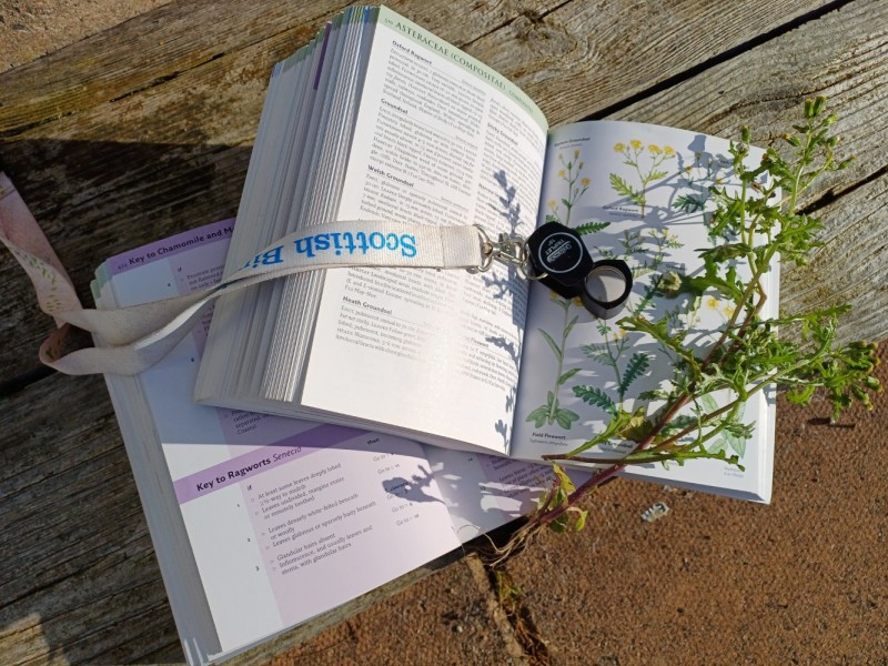Botanical Key Book Register – Getting started with Plant Keys – Zoom
