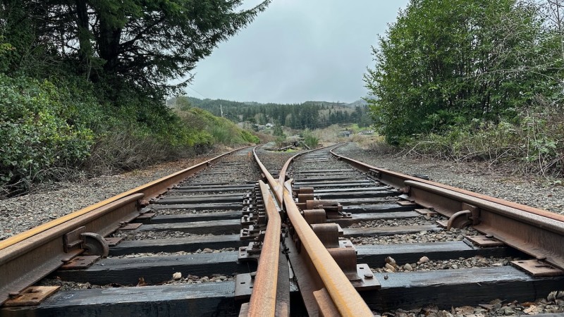 Claim Your Tickets – Salmonberry Trail Guided Hike - Wheeler, OR ...