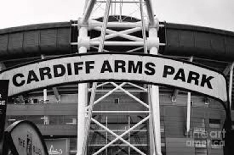 Volunteer Here! Cardiff Arms Park Fanzone Cardiff Arms Park, Cardiff,