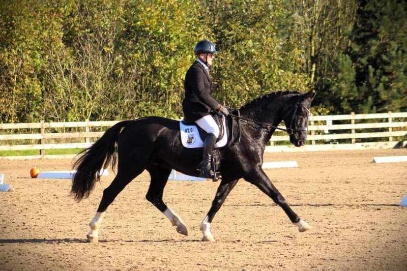 Buy tickets – Two-Day clinic with Tim Downes FBHS at Laurel View ...